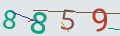 verifycode